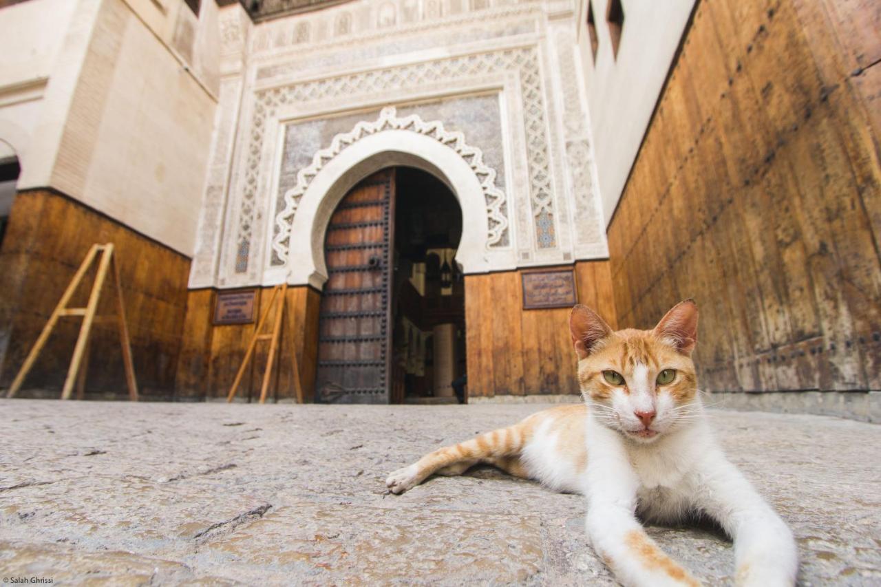 Riad Anis Fès Exterior foto